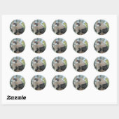gier ronde sticker (Vel)