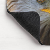 gier, woestijngier, vogel muismat (Hoek)