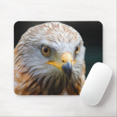 gier, woestijngier, vogel muismat (Met muis)