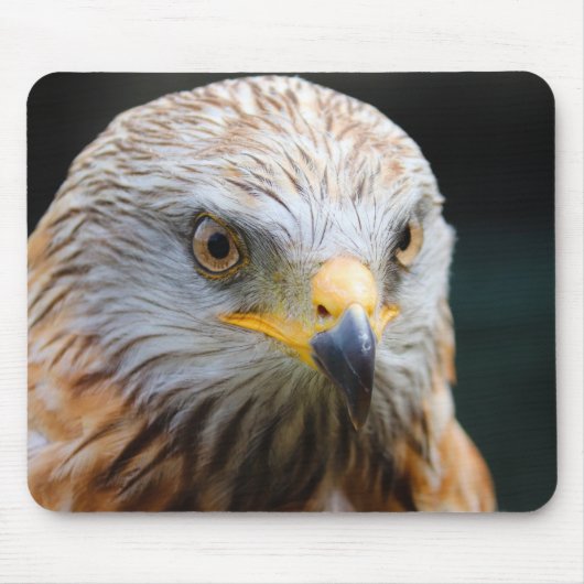 gier, woestijngier, vogel muismat (Voorkant)