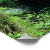 Giessbach Watervallen, Zwitserland Poster (Hoek)