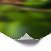 gif in de zon poster (Hoek)
