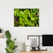 gif in de zon poster (Thuiskantoor)
