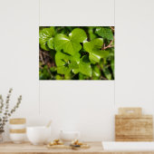 gif in de zon poster (Keuken)