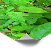 gif met bloemen poster (Hoek)