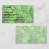 gif visitekaartje (Voorkant / Achterkant)