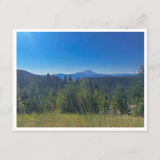 Gifford Pinchot National Forest Briefkaart (Voorkant)