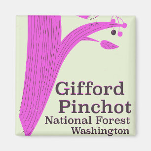 Gifford Pinchot National Forest Washington Magneet