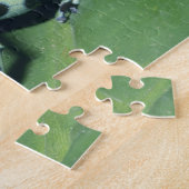 Gifkikker, (Dendrobates auratus) Cahuita Legpuzzel (Zijkant)