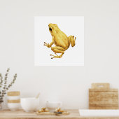 Gifkikker Poster (Keuken)