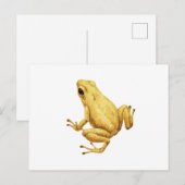 Gifpijlkikker Briefkaart (Voorkant / Achterkant)