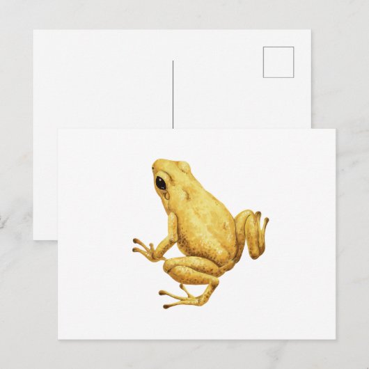 Gifpijlkikker Briefkaart (Voorkant / Achterkant)