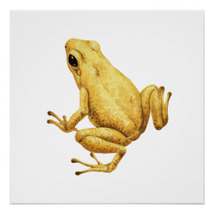 Gifpijlkikker Perfect Poster