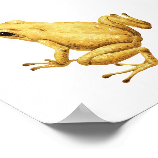 Gifpijlkikker Poster (Hoek)