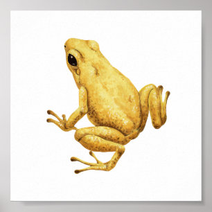 Gifpijlkikker Poster