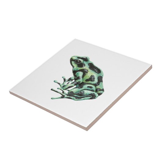 Gifpijlkikker Tegeltje (Zijkant)