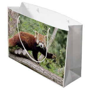 Gift Bag Foto: Red panda, animal 0271. Groot Cadeauzakje