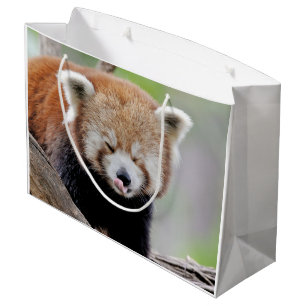 Gift Bag Foto: Red panda, animal 0272. Groot Cadeauzakje