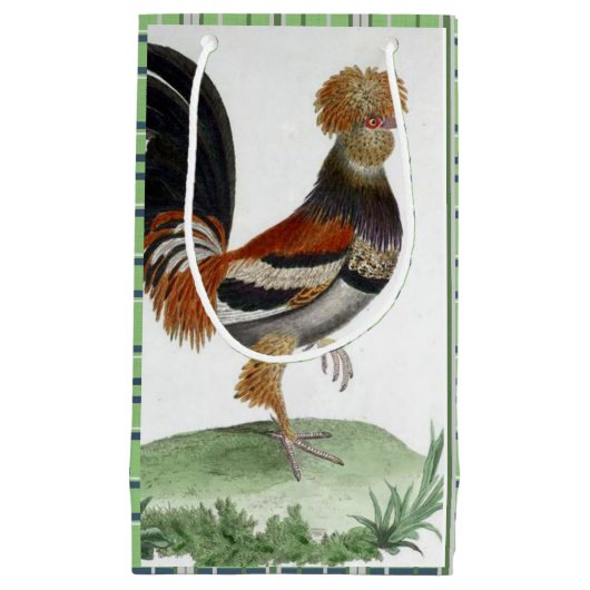 Gift Bag French Bird Green Klein Cadeauzakje (Voorkant)