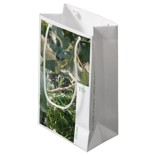 Gift Bag/KAART Combo/mmetropolim ontwerp Klein Cadeauzakje (Voorkant Gekanteld)