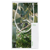 Gift Bag/KAART Combo/mmetropolim ontwerp Klein Cadeauzakje (Voorkant)