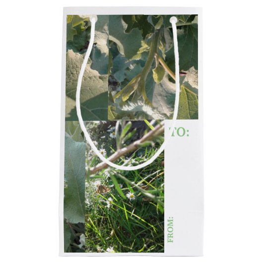 Gift Bag/KAART Combo/mmetropolim ontwerp Klein Cadeauzakje (Voorkant)