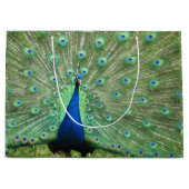 Gift Bag (Lrg) - Proud Peacock Large Cadeautasje (Voorkant)