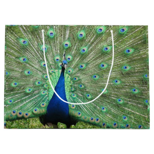 Gift Bag (Lrg) - Proud Peacock Large Cadeautasje (Voorkant)
