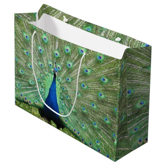 Gift Bag (Lrg) - Proud Peacock Large Cadeautasje (Voorkant Gekanteld)