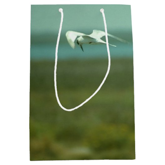Gift Bag (med.) - Tern in Flight Medium Cadeauzakje (Voorkant)