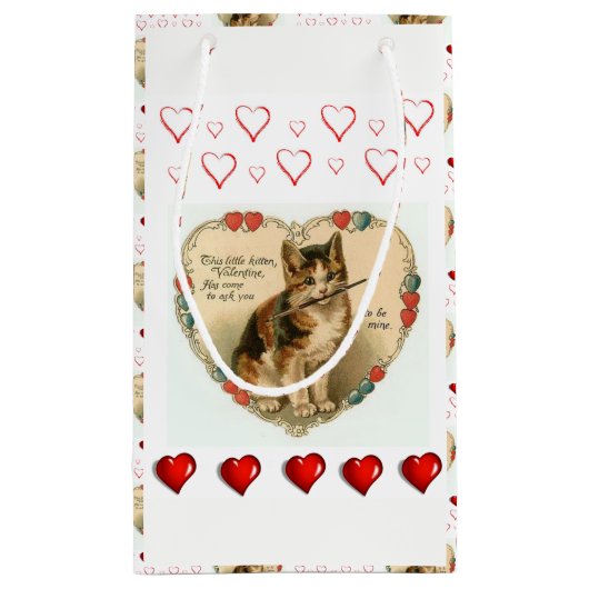 Gift Bag Valentijns Klein Cadeauzakje (Achterkant)