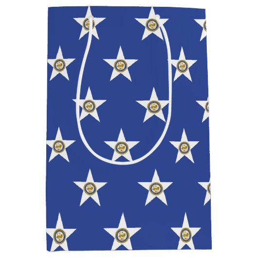 Gift Bag with flag of  Houston, Texas, USA Medium Cadeauzakje (Voorkant)