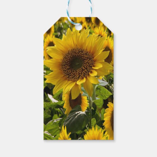 Gift Bags Zonbloemen Cadeaulabel (Voorkant)
