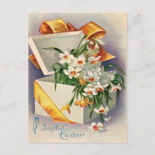 Gift Cadeau Daffodil Jonquil Briefkaart
