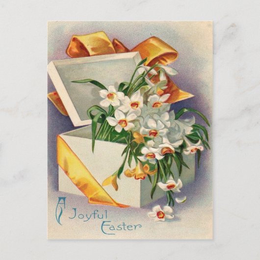 Gift Cadeau Daffodil Jonquil Briefkaart (Voorkant)