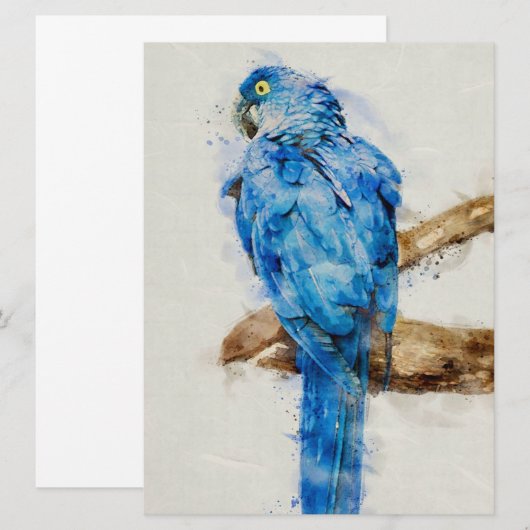 Gift For Family | Beautiful Birds | Funny Parrot (Voorkant / Achterkant)