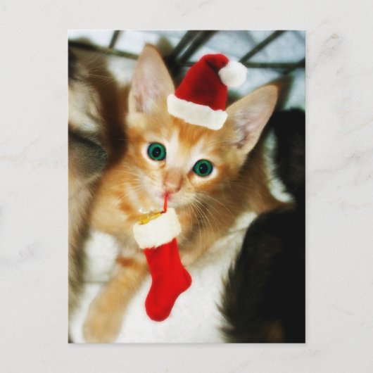 GIFT FOR YOU BRIEFKAART (Voorkant)