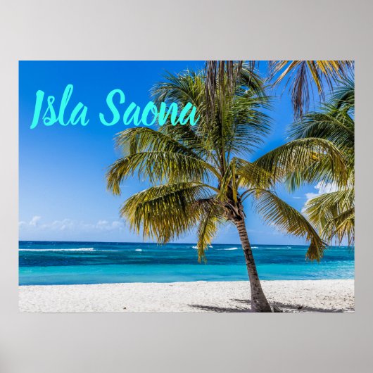 gift Isla Saona Beach Domenican Poster (Voorkant)