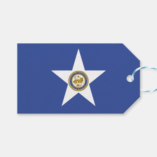 Gift Label met vlag van Houston City, Verenigde St Cadeaulabel (Voorkant (Horizontaal))