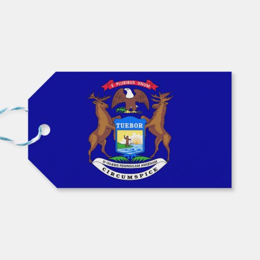 Gift Label met vlag van Michigan State, VS Cadeaulabel (Achterkant Horizontaal)