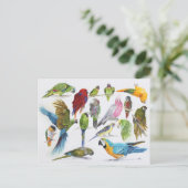 Gift voor Parrot-liefhebbers overal Briefkaart (Staand voorkant)