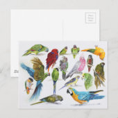 Gift voor Parrot-liefhebbers overal Briefkaart (Voorkant / Achterkant)