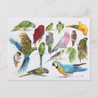 Gift voor Parrot-liefhebbers overal Briefkaart