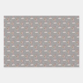 Gift Wrap Noordpool - reeks 3 Inpakpapier Vel (Voorkant 3)