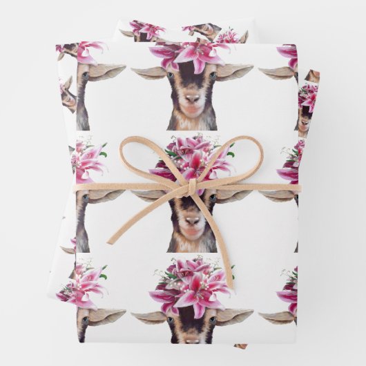 Gift Wrap Paper Lilly the Goat (In situ)