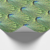Gift Wrap - Peacock (betegeld) Cadeaupapier (Hoek)