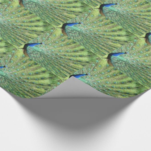 Gift Wrap - Peacock (betegeld) Cadeaupapier (Hoek)