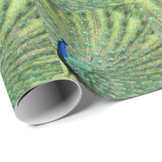 Gift Wrap - Peacock (betegeld) Cadeaupapier (Rol Hoek)