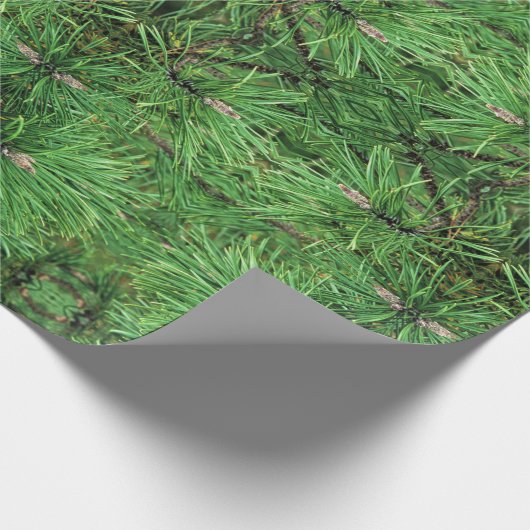 Gift Wrap Roll Pine Boughs Cadeaupapier (Hoek)