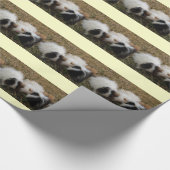 Gift Wrappapier voor cavia's Cadeaupapier (Hoek)